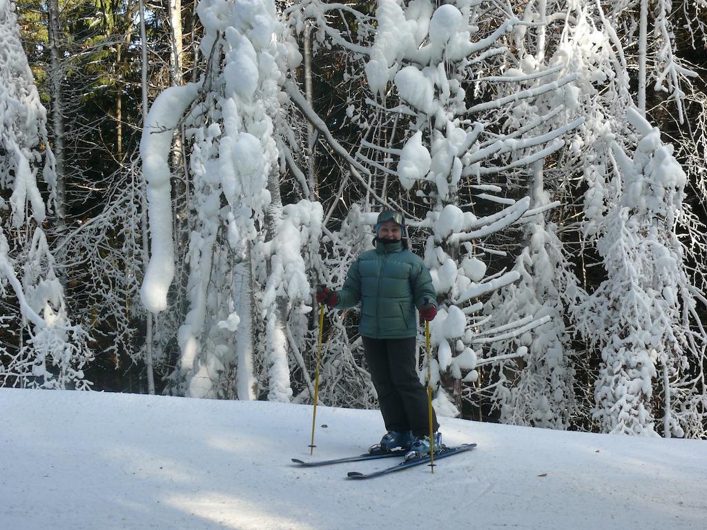 Chalet Truten ボロフタ エクステリア 写真